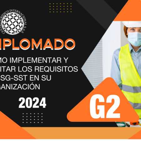 CÓMO IMPLEMENTAR Y AUDITAR LOS REQUISITOS DEL SG-SST EN SU ORGANIZACIÓN GRUPO 2-2024